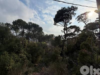 Land for Sale in Mar Moussa – 1,313 sqm أرض للبيع في مار موسى