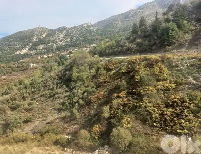Land for Sale | Basloukit | hot Deal | ارض للبيع | zgharta| RF