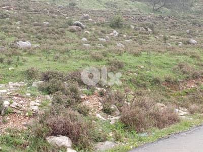Prime Location Land For Sale In Bhersaf ارض للبيع في بحرصاف
