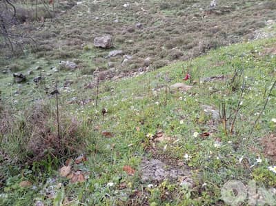 Prime Location Land For Sale In Bhersaf ارض للبيع في بحرصاف