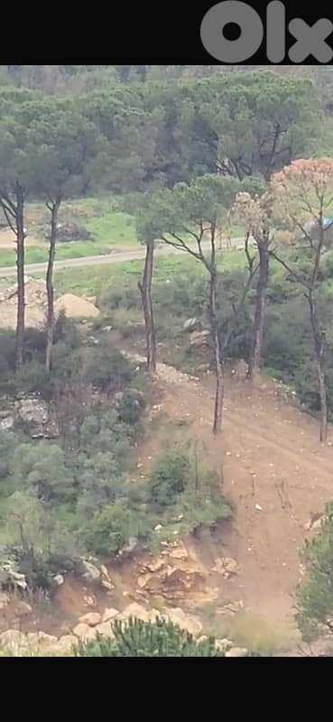2300m land zone 25/50 Qobeih Suitable for Touristic or Bangallows 0