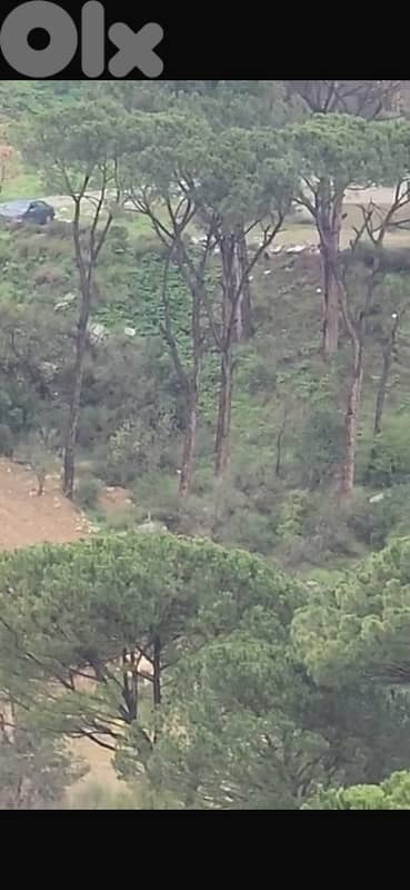 2300m land zone 25/50 Qobeih Suitable for Touristic or Bangallows 3
