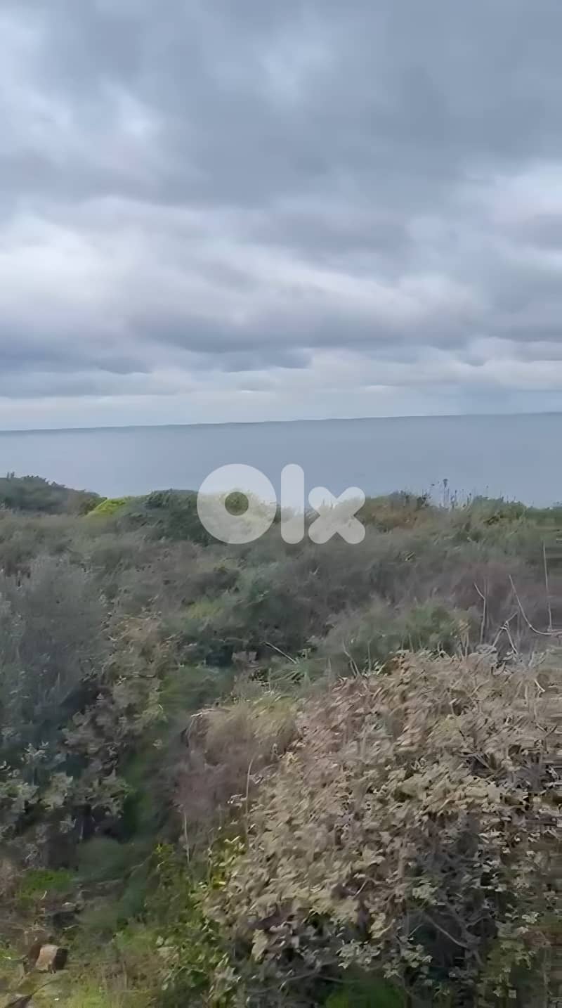 Land for sale in Berbara/ Seaview 0