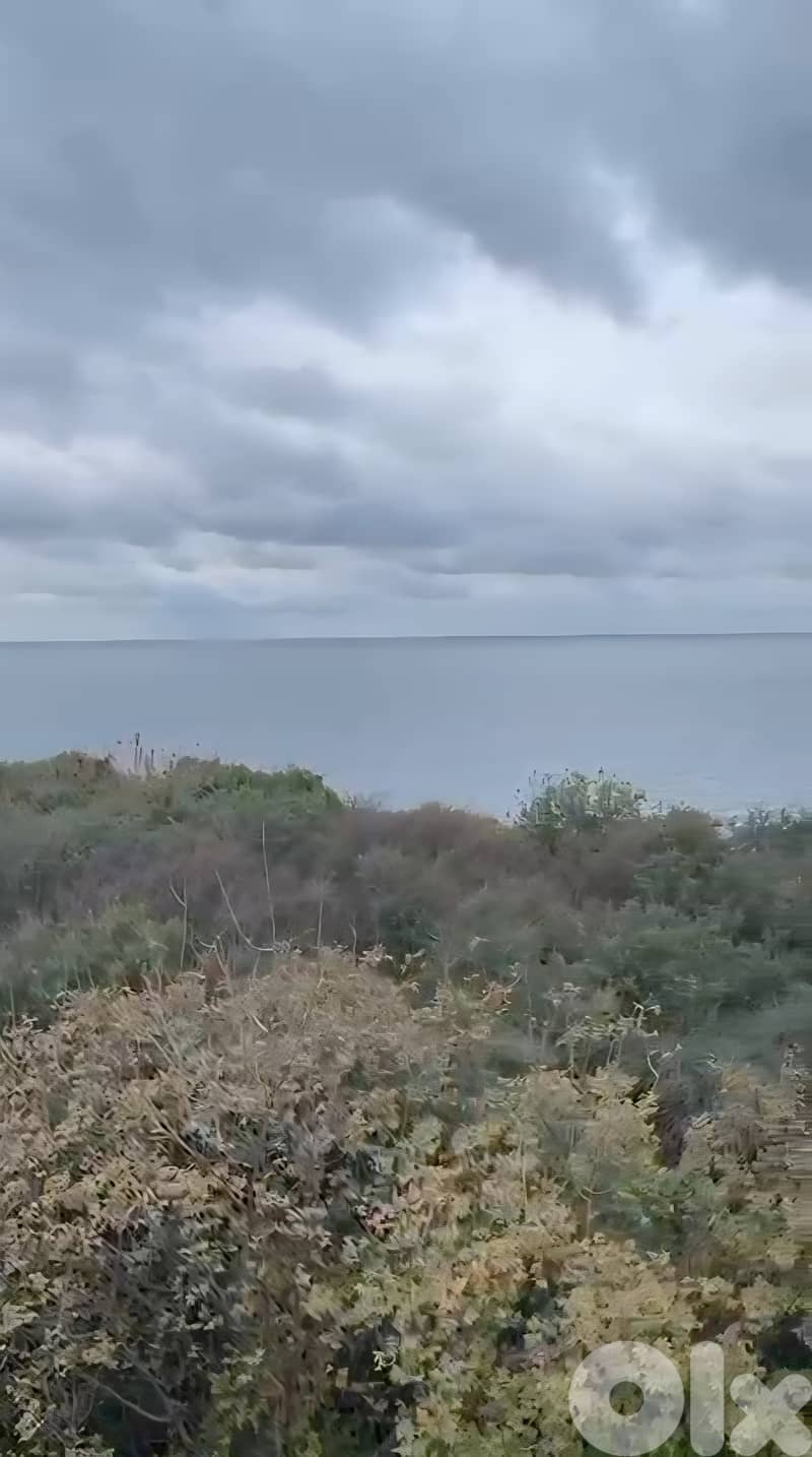 Land for sale in Berbara/ Seaview 1