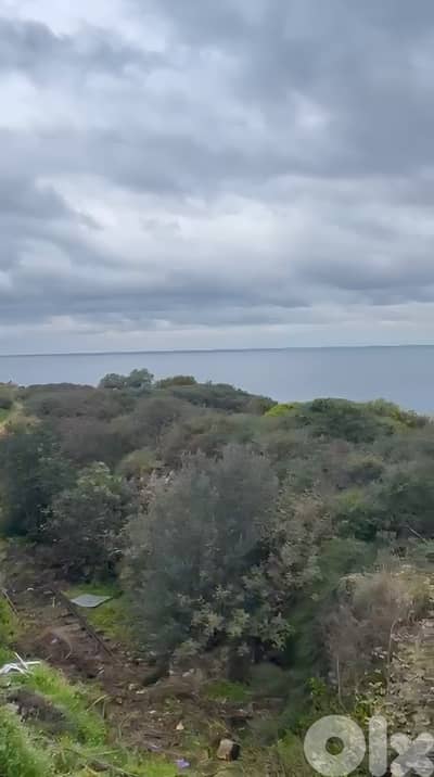 Land for sale in Berbara/ Seaview