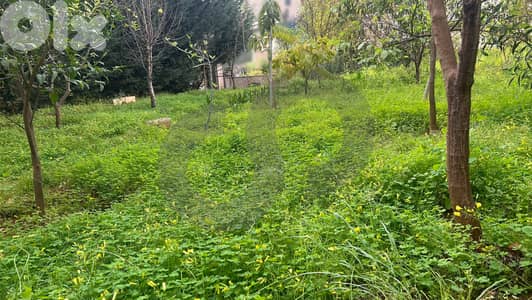 Prime Location, Calm Area, close road, Awkar/عوكر REF#KD134389