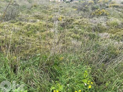 Prime Land for Sale in Abadiyeh – Dhour El Abadiyeh