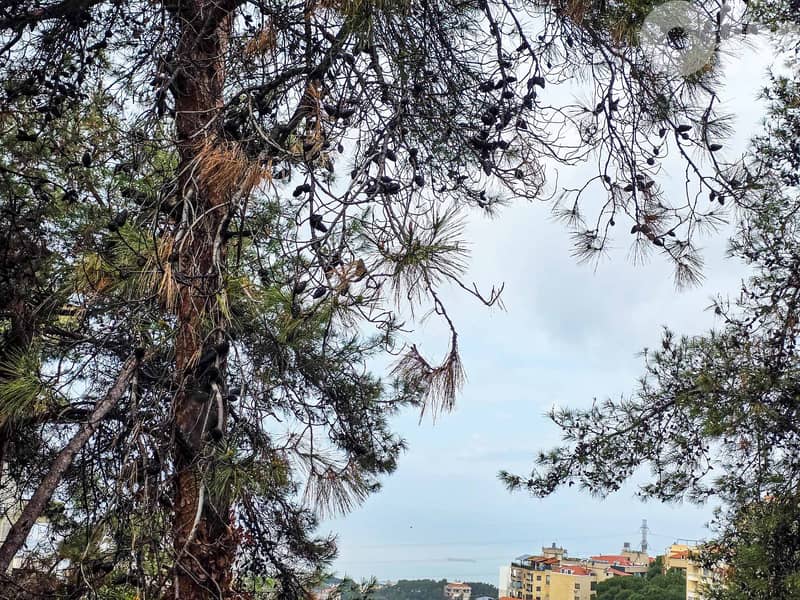 380 SQM Prime Location Land in Qannabet Broumana + Sea & Mountain View 0