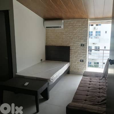 furnished studio for rent day or week