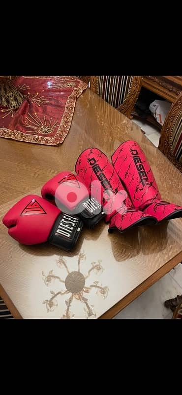 Muay Thai Boxing Equipment Shin Guards Gloves 0
