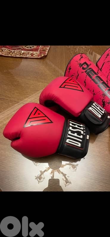 Muay Thai Boxing Equipment Shin Guards Gloves 1