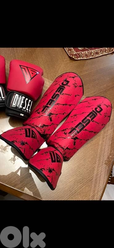 Muay Thai Boxing Equipment Shin Guards Gloves 2