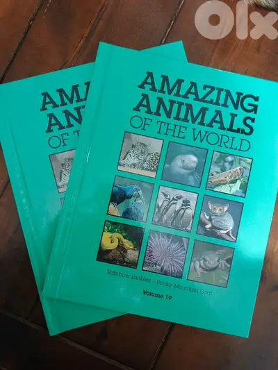the amazing world of animals