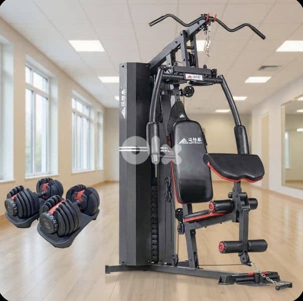 2 items ( home gym + 2  adjustable dumbbells) 0