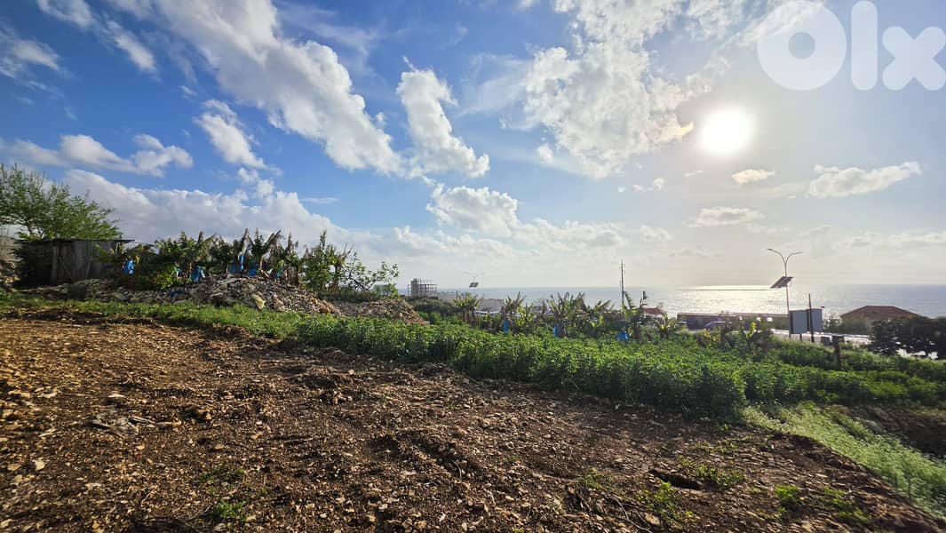 RWB615EA - Land for sale in Halat Jbeil 0