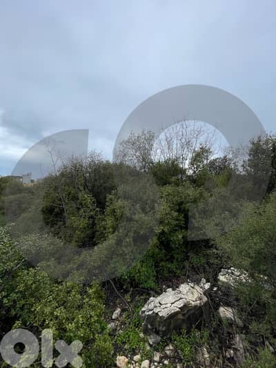 1000 sqm land for sale in Bejjeh/بيجه/Open View/REF#NI134423 !