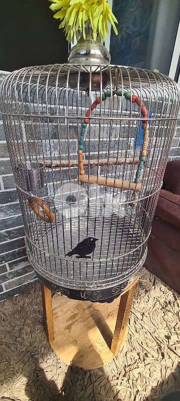 stainless steel cage 0