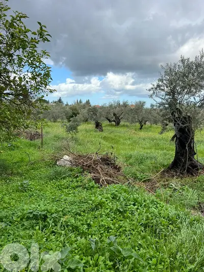 Building with land for sale in Bsebaal مبنى مع أرض للبيع في بسبعل