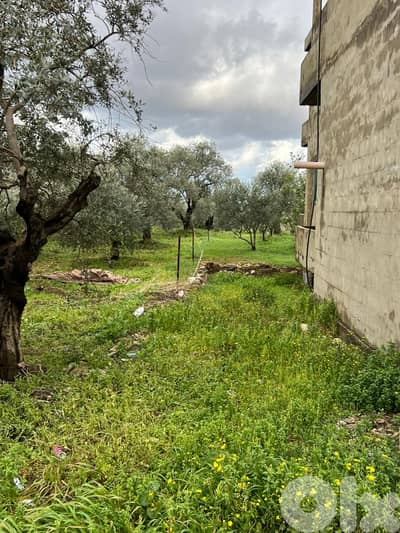 Building with land for sale in Bsebaal مبنى مع أرض للبيع في بسبعل
