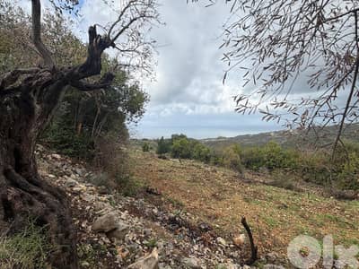 L20849 - A 15,380 SQM Land For Sale In Monsef