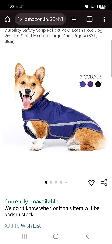 jacket from black doggy