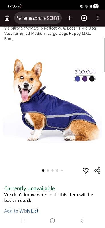 jacket from black doggy 0