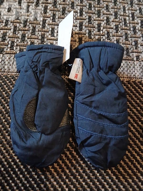 gloves from 3M THINSULATE 0