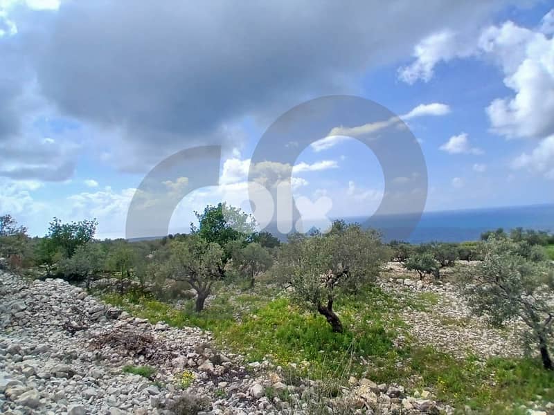Open View,Landscaped Plot, Jbeil - Monsef/المنصف – جبيل  REF#DC134476 2