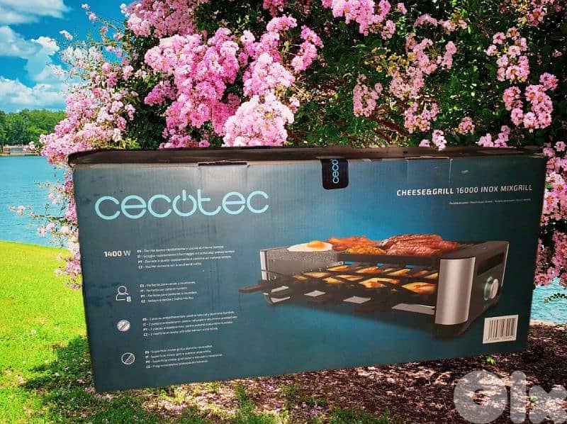 Raclette grill. 5