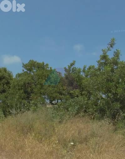 17457m2 Prime land+open view 4sale in Batroun - أرض للبيع في البترون