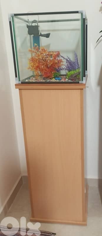 aquarium 0