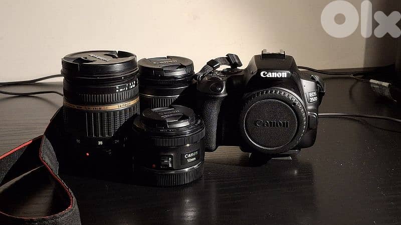 Canon 250d + tamron 17-50 f/2.8 + EF 50mm f/1.8 + other 0