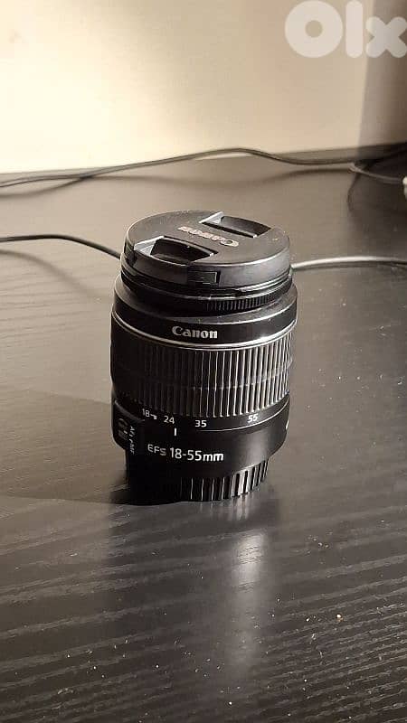Canon 250d + tamron 17-50 f/2.8 + EF 50mm f/1.8 + other 2