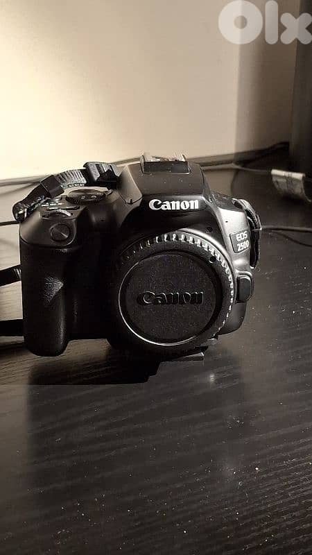 Canon 250d + tamron 17-50 f/2.8 + EF 50mm f/1.8 + other 4