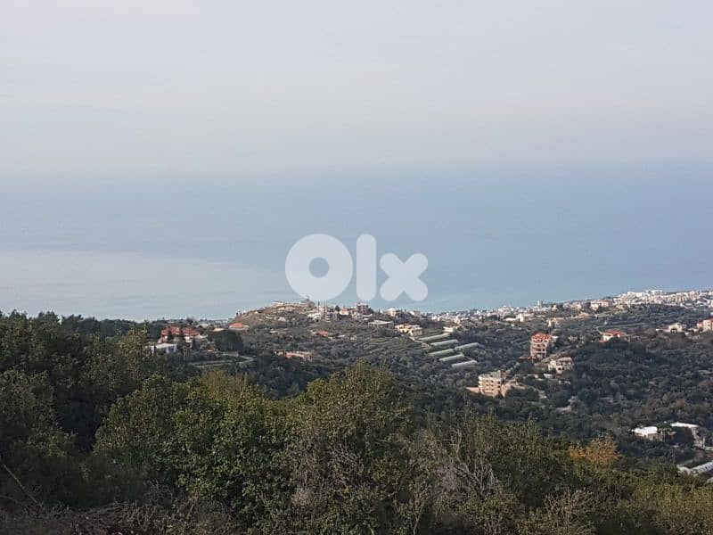 dream land for sale in bentael / jbeil 15 mins away up +9613518504 1