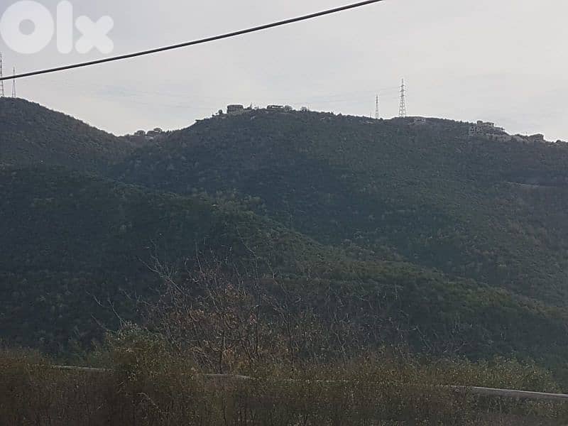 dream land for sale in bentael / jbeil 15 mins away up +9613518504 5