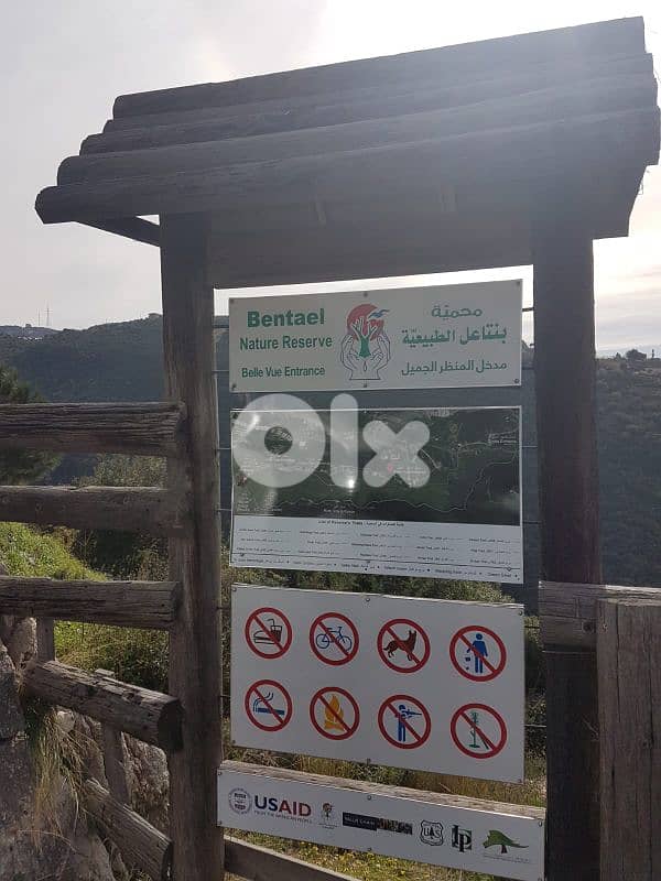 dream land for sale in bentael / jbeil 15 mins away up +9613518504 6
