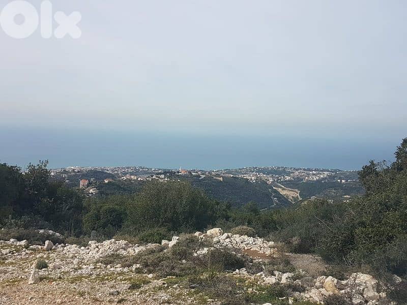 dream land for sale in bentael / jbeil 15 mins away up +9613518504 9