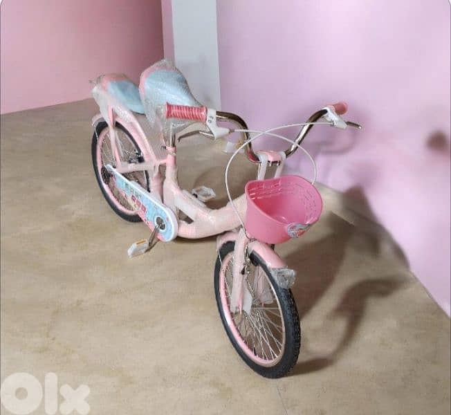 20 inch bicycle 4