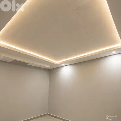 معلم دهان وديكورات وعزل نش