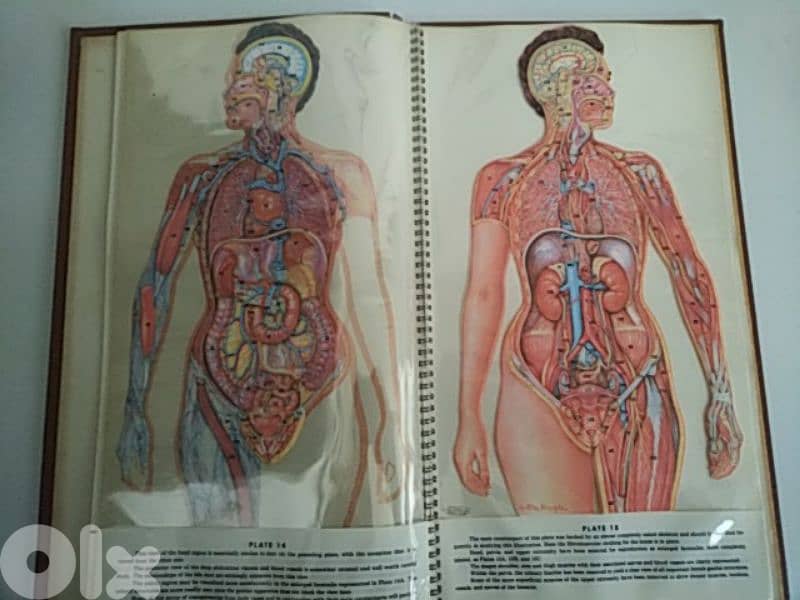 Very old book TransVisions of Anatomical Chromographs - Not Negotiable 2