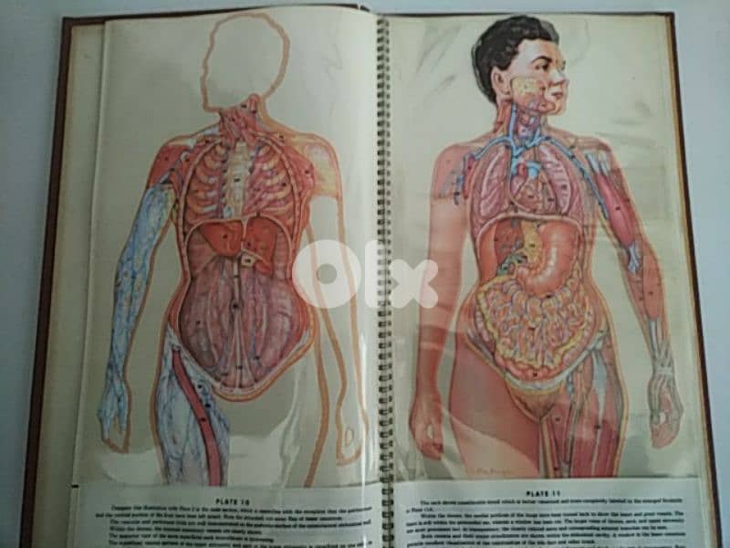 Very old book TransVisions of Anatomical Chromographs - Not Negotiable 3