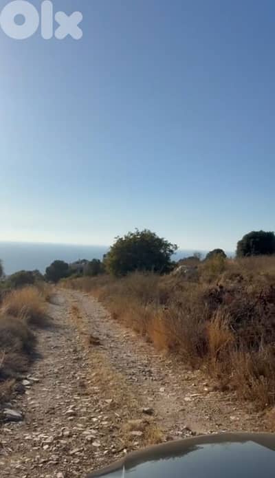 For Sale Land in Thoum 3750m² ONLY for 180K أرض في تحوم For Sale Land in Thoum 3750m² ONLY for 180K أرض في تحوم