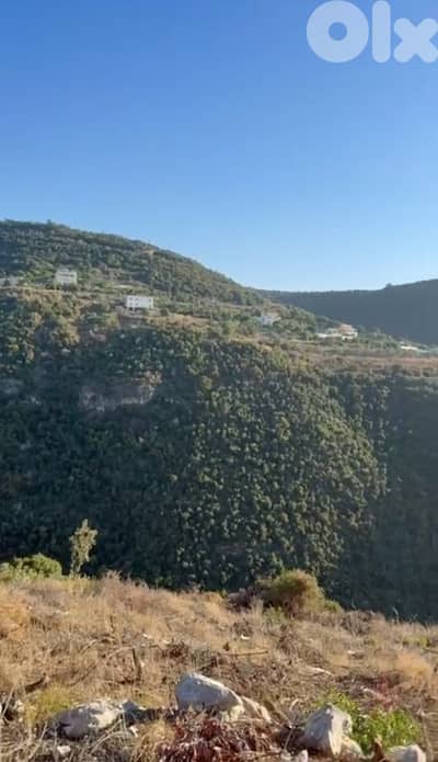 For Sale Land in Thoum 3750m² ONLY for 180K أرض في تحوم For Sale Land in Thoum 3750m² ONLY for 180K أرض في تحوم