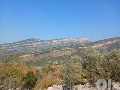L19610 - Prime Location! 1,290 SQM Land For Sale in Douma
