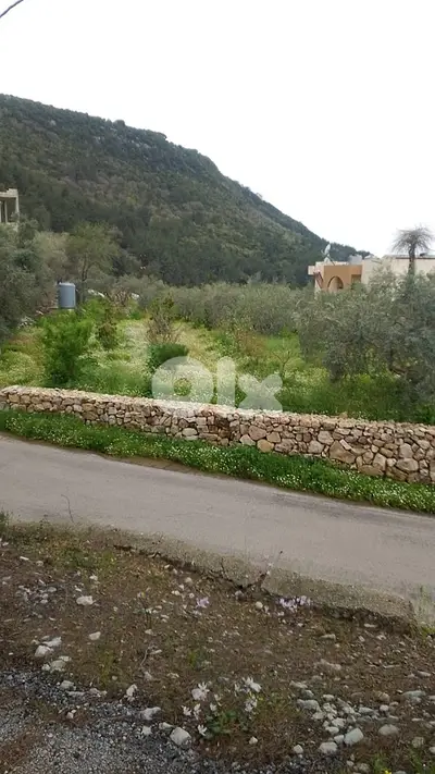 Flat land on Zebdin - Jbeil main road