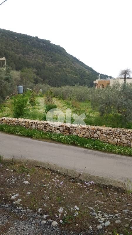 Flat land on Zebdin - Jbeil main road 0