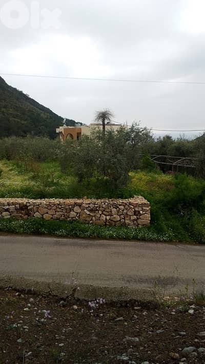Flat land on Zebdin - Jbeil main road