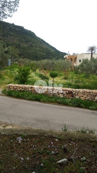 Flat land on Zebdin - Jbeil main road