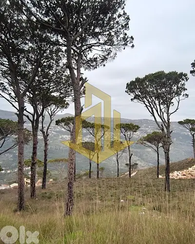 Land for sale in Deir El Harf أرض للبيع في دير، الحرف
